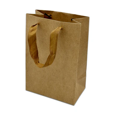 EMW Fabric Handle Kraft Bag