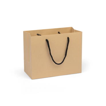 EMW Rope Handle Kraft Bag